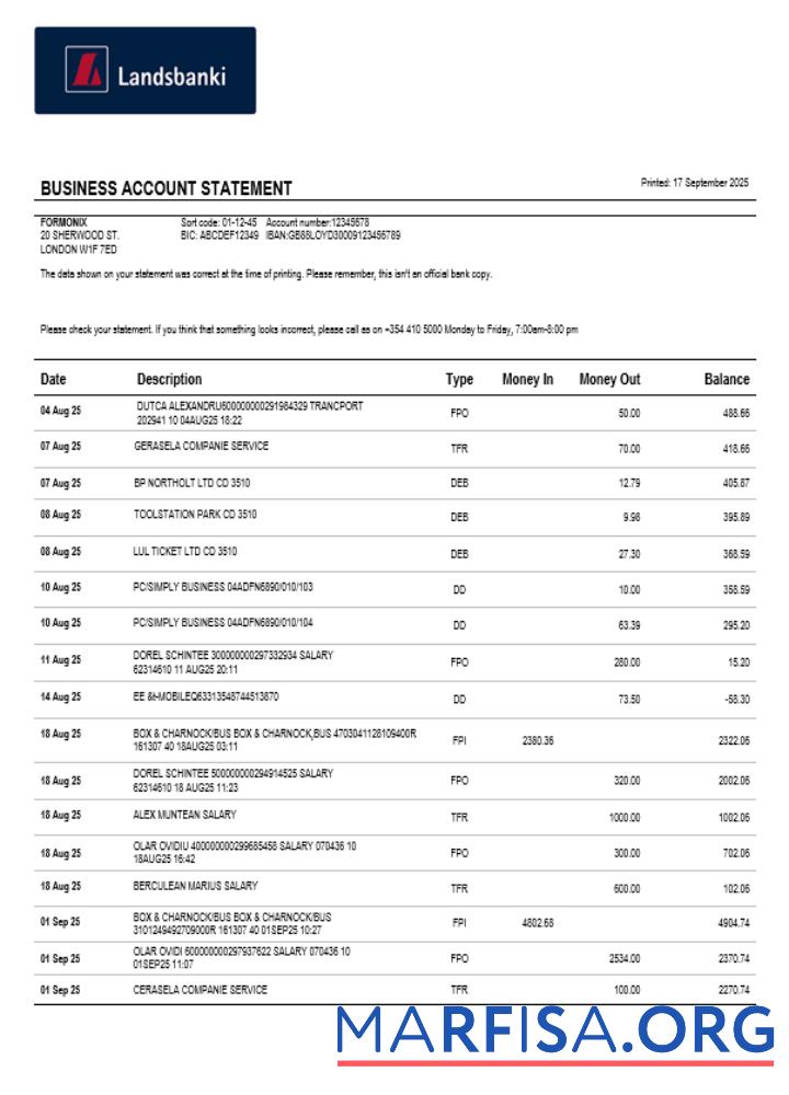Downloadable Landsbankinn organization checking account statement Word and PDF format sample